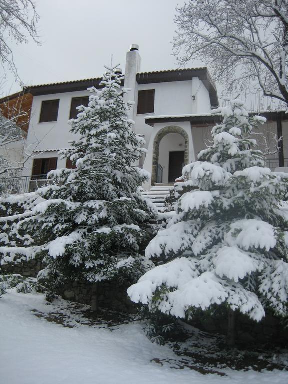 Flora'S House Villa Szpília Kültér fotó